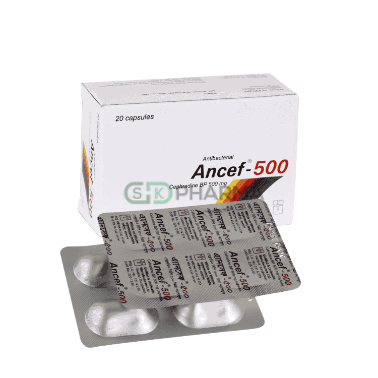 Ancef Capsule 500 mg (Cephradine)